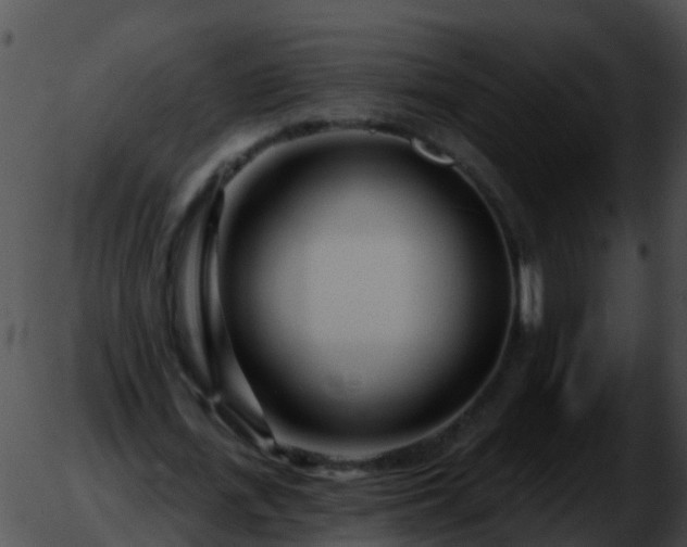 X0000051860723200507012340