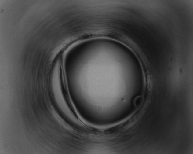 X0000051860725200507012340