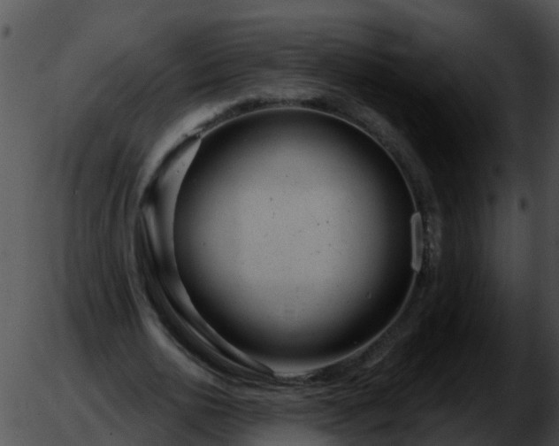 X0000051860726200507012340