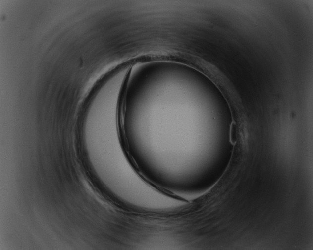 X0000051860728200507012340