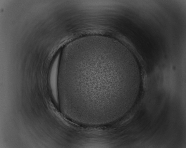 X0000051860729200507012340