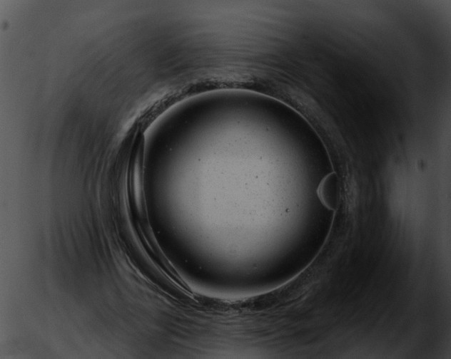 X0000051860731200507012340