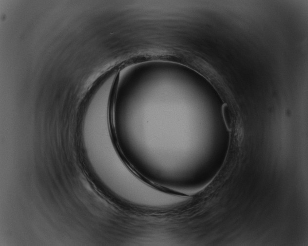 X0000051860732200507012340