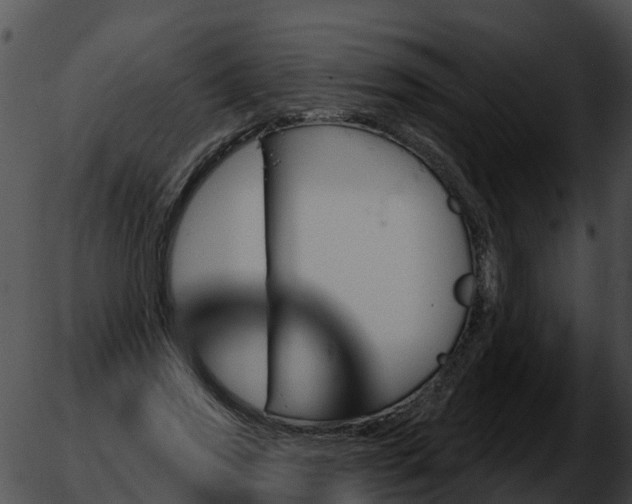 X0000051860733200507012340