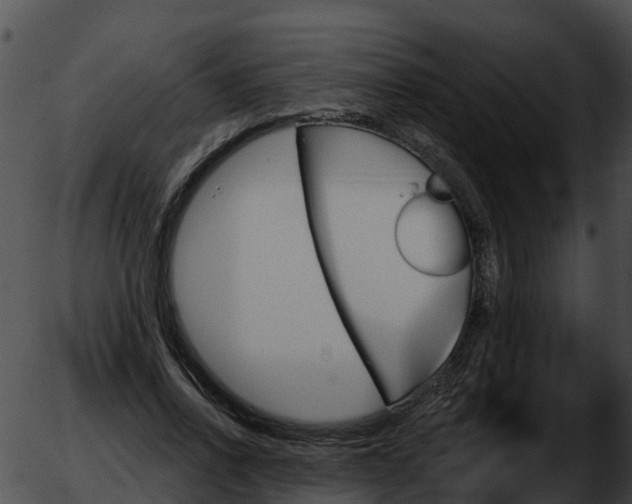 X0000051860734200507012340