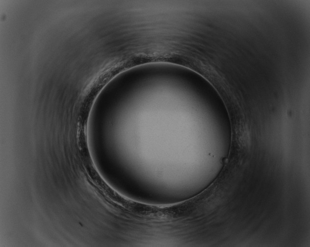 X0000051860735200507012340