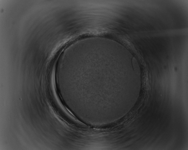 X0000051860736200507012340