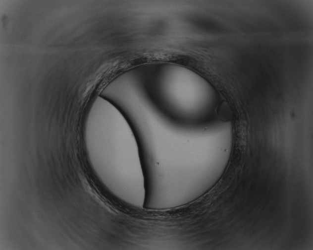 X0000051860738200507012340