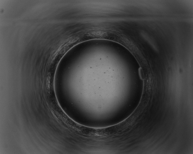 X0000051860739200507012340