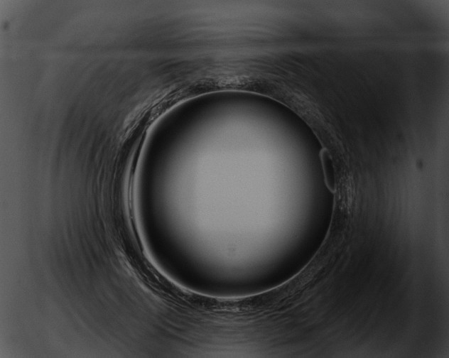 X0000051860740200507012340