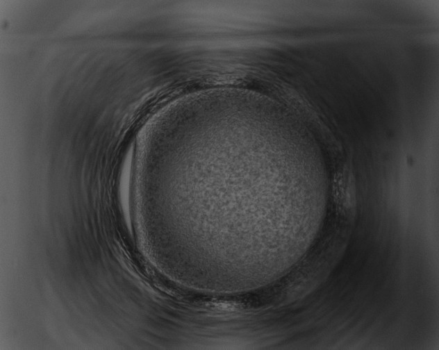 X0000051860741200507012340