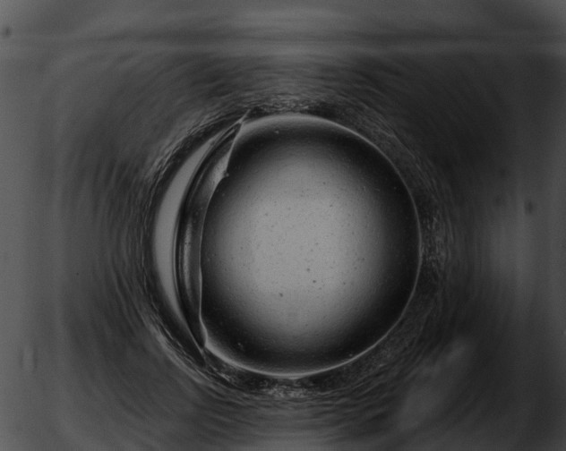 X0000051860742200507012340