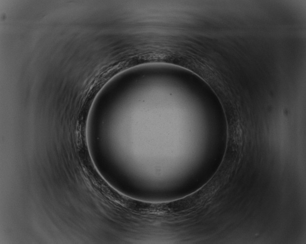 X0000051860743200507012340