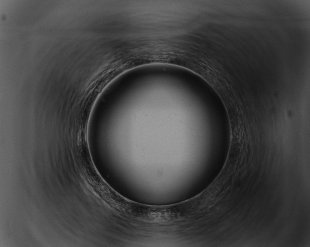 X0000051860744200507012340