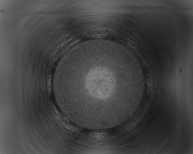 X0000051860745200507012340