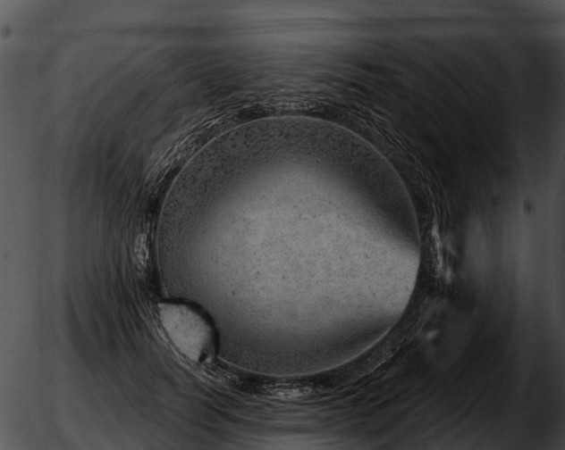 X0000051860746200507012340