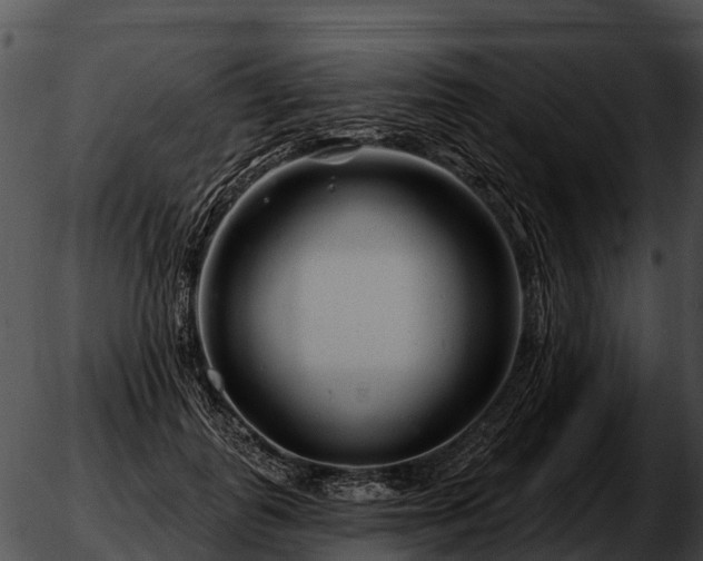 X0000051860747200507012340