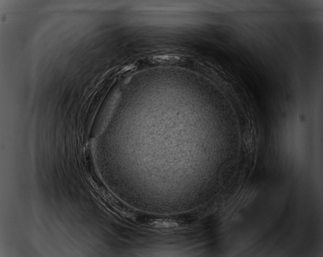 X0000051860749200507012340