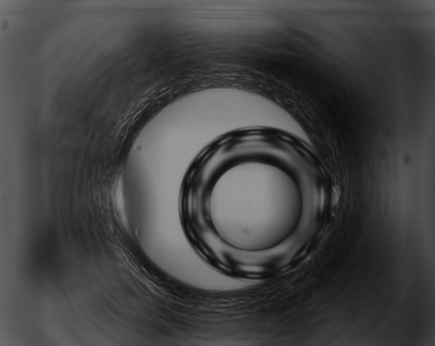 X0000051860750200507012340