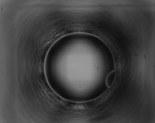 X0000051860751200507012340