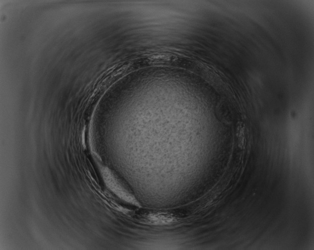 X0000051860753200507012340