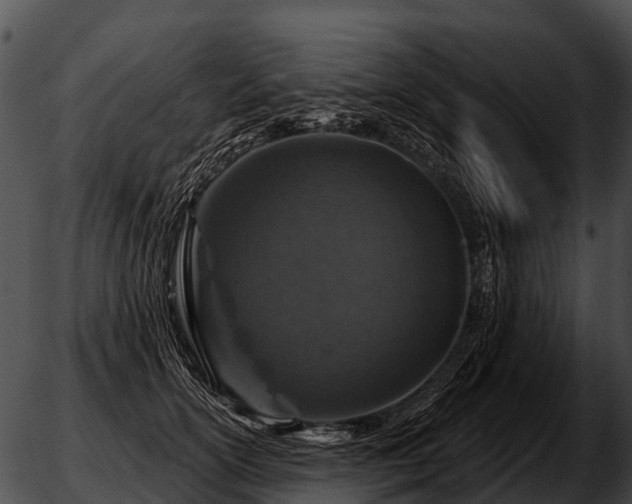 X0000051860754200507012340