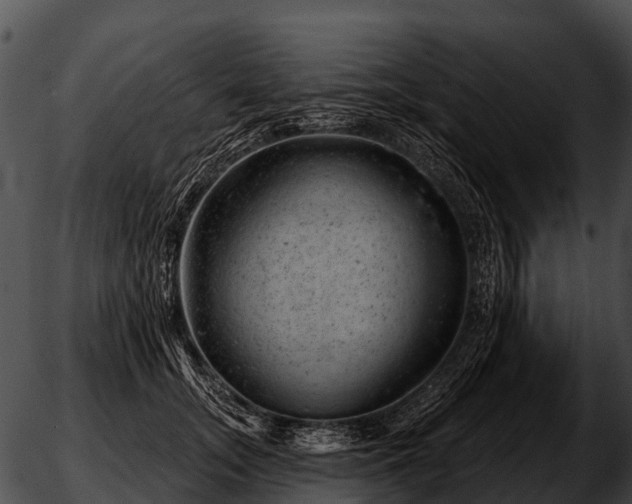 X0000051860755200507012340