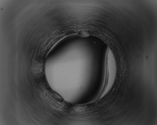 X0000051860756200507012340