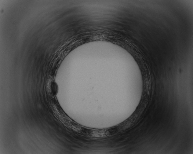 X0000051860757200507012340