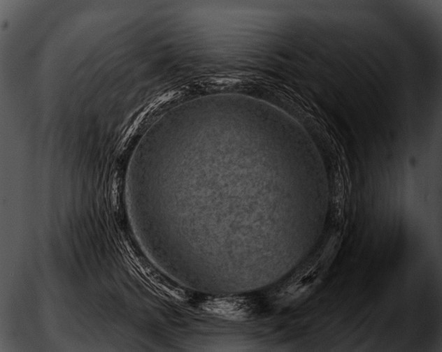 X0000051860758200507012340