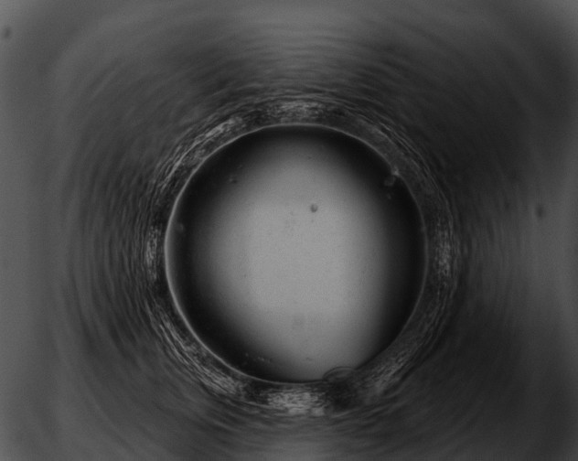 X0000051860759200507012340