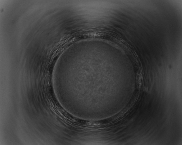 X0000051860760200507012340