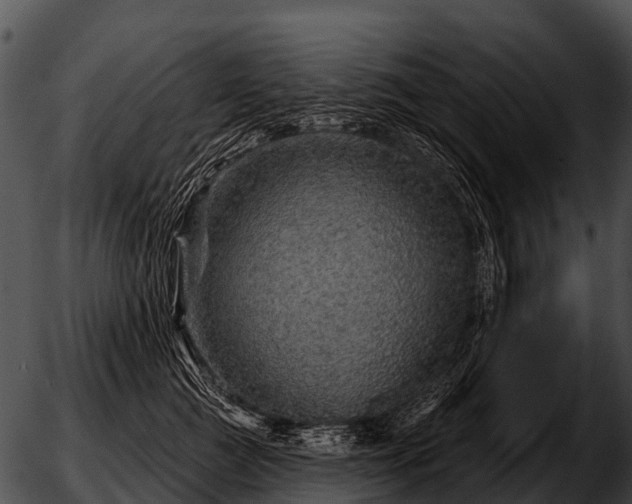 X0000051860761200507012340