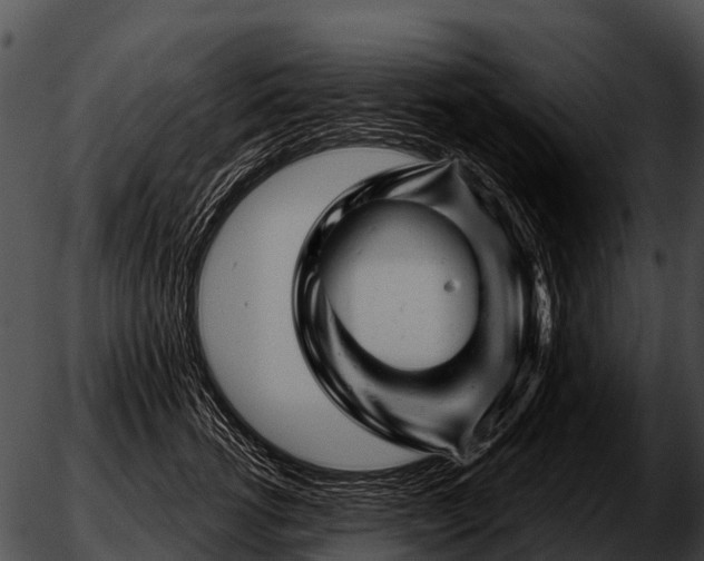 X0000051860762200507012340