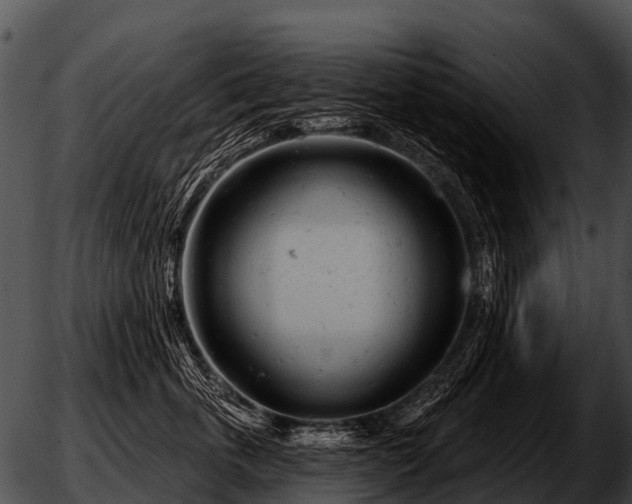 X0000051860763200507012340