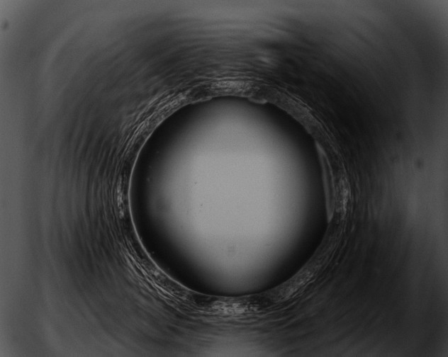 X0000051860764200507012340