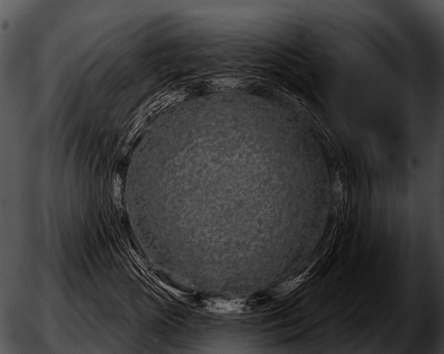 X0000051860765200507012340