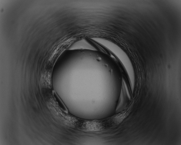 X0000051860766200507012340