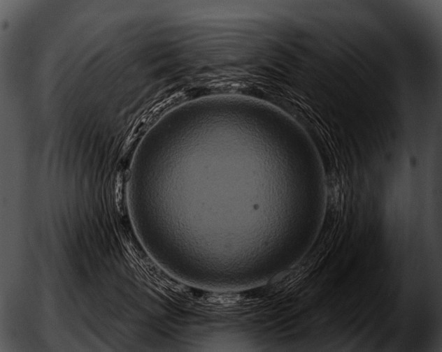 X0000051860767200507012340