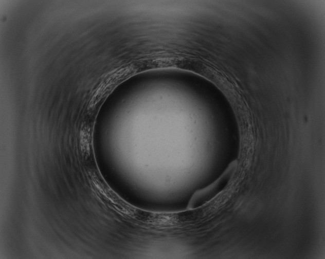 X0000051860768200507012340