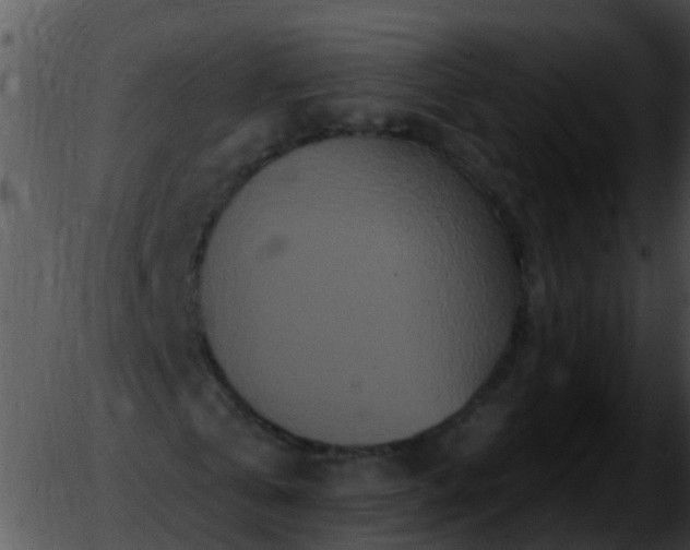 X0000051860769200507012340