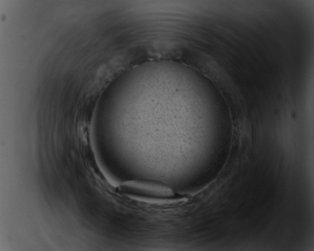 X0000051860770200507012339