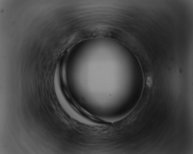 X0000051860771200507012339