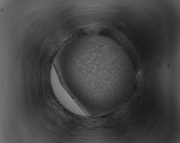 X0000051860772200507012339