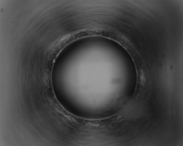 X0000051860773200507012339