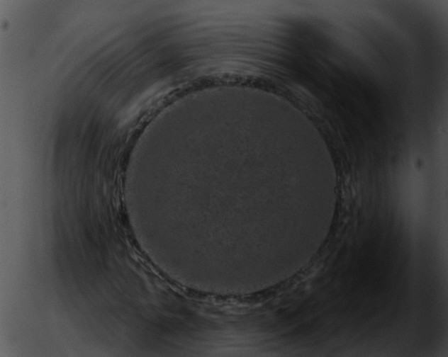 X0000051860774200507012339