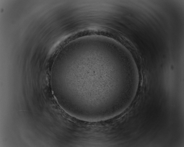 X0000051860776200507012339