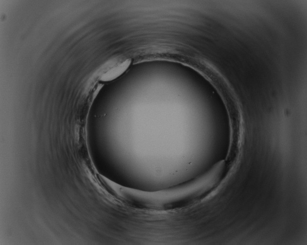 X0000051860777200507012339