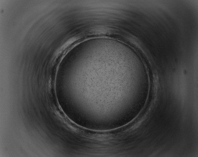 X0000051860778200507012339