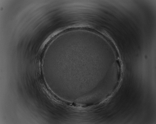 X0000051860781200507012339